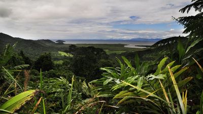 Widow reacts as zipline safety approach detailed