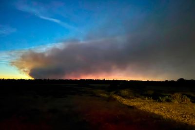 New Forest may take decades to recover from ‘devastating’ fire as 120 firefighters work into the night battling blaze