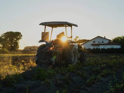 CNH's India posts 42% jump in H1 tractor sales, eyes capacity boost as US tariff strain eases
