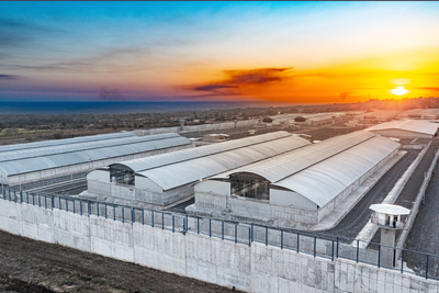 What Is Special About El Salvador's Mega Prison? Farage Begins Talks of Sending Foreign Lags to the Facility