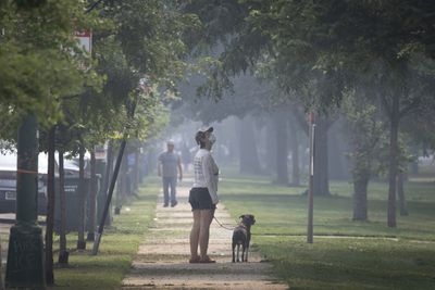 Wildfire Smoke Drove Most Unhealthy Air Days During U.S. Pregnancies by 2019, National Study Finds