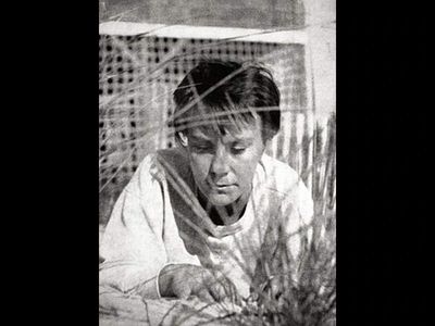 Quote of the Day by Harper Lee: 'You never really understand a person until you consider...'- Inspiring life lessons on empathy, perspective and understanding others by To Kill a Mockingbird novelist