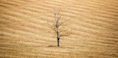 As severe drought hits, the UK’s food system faces crisis – here’s how to change that