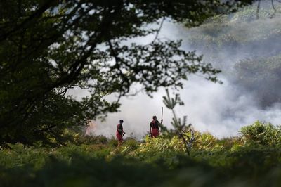 More than 120 firefighters still tackling ‘devastating’ New Forest blaze
