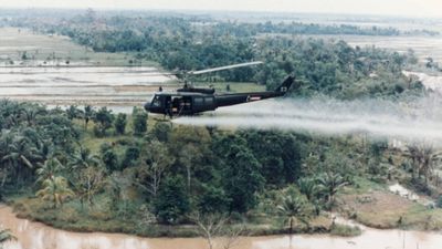 The war that keeps being born: Agent Orange and its multigeneration effects