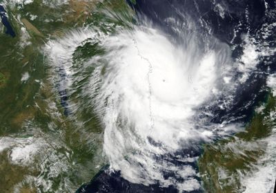 Dolphin, Dim-sum, Banyan: How tropical cyclones get their names