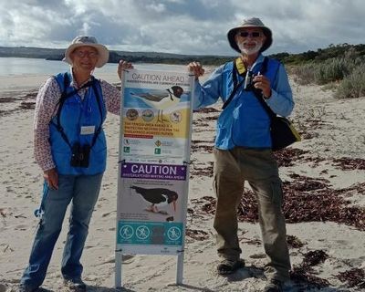 Jean hoped bird flu wouldn’t come to Australia. Then it arrived – and she saw a tern ‘trembling and swaying’