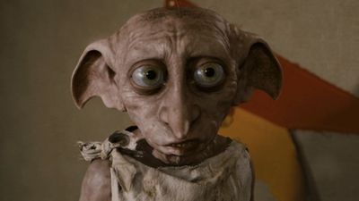 Harry Potter Fans Rallied To Divert Pricey Project Because No One Wanted Dobby’s Grave Disturbed