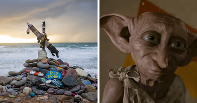 Harry Potter Fans Force Authorities To Reroute $500M Undersea Cable, The Reason Has People Shaking Their Heads