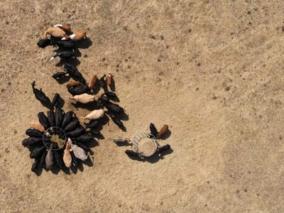 Almost three-quarters of England now in drought, UK government says
