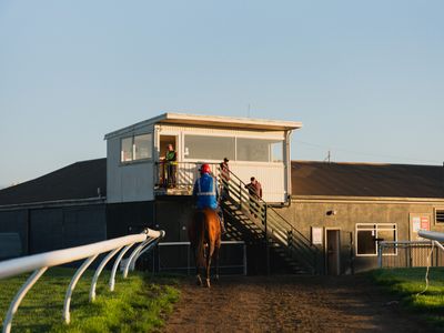 The horses of Hastings