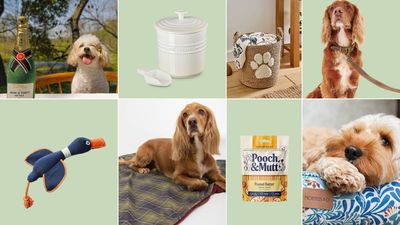 Every day is spoil your dog day, but today's the official one - here are 15 gifts under £50 that we love