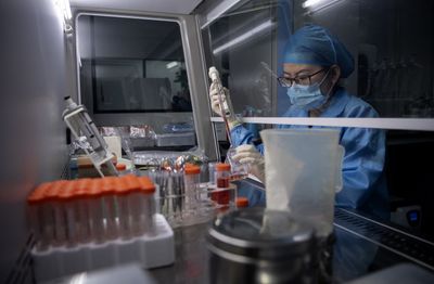 Researchers Describe a New Role for Tau in Brain Cell Damage That Could Open a Drug Target