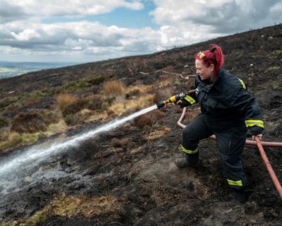 ‘National priority’ to equip UK firefighters amid growing wildfire threat