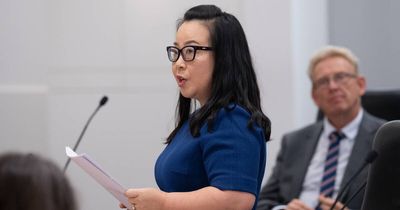 'Up to people to make a call': Lee declines to back Parton's leadership