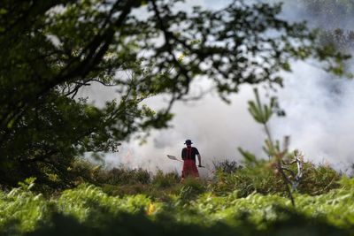 Firefighters set to work into the night tackling ‘devastating’ New Forest blaze