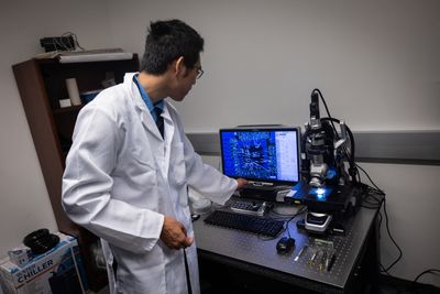 Researchers Used AI to Design Working Viruses, Raising Both Medical Hopes and Biosecurity Concerns