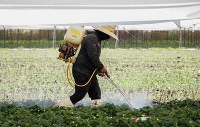 Senate Committee Rejects Amendment That Would Have Expanded Pesticide Liability Nationwide