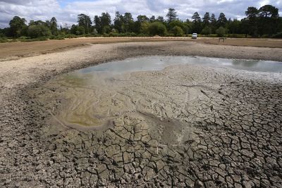 Heat health alerts coming into force as UK braces for fifth heatwave