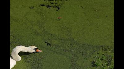 In 190 years, England witnesses ​driest month, now Britain usually known for its unpredictable wet weather faces third drought in five years
