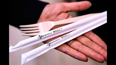 For over 100 years global plastic pollution became menace for environment, now forks created from sugar can be household alternative