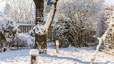 Farmers' Almanac Winter Weather Forecast Warns of Changeable Snow, Ice, and Rain – Prepare Your Yard Now to Protect Your Plants