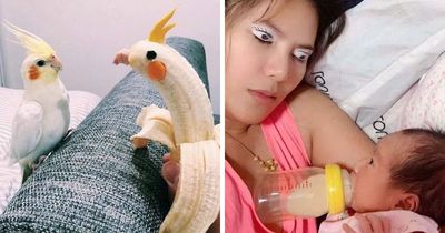 “Hmmm”: 89 Pics That People Cannot Explain, Nor Can They Forget