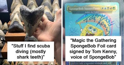80 Fascinating Collectibles That Prove One Person’s Trash Is Another Person’s Treasure