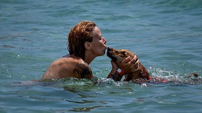 Dog-friendly beaches in Spain 2026: Where to swim with your pet this summer