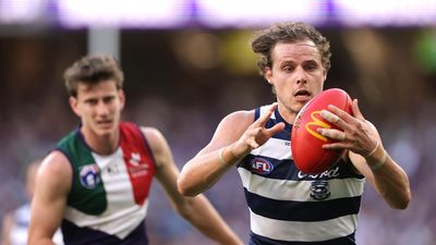 AFL brings in lawyers to decide Cats controversy