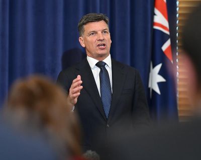 Coalition divided over tougher gambling laws – with MPs warning Angus Taylor against overreach