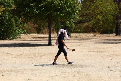 'Moment of urgency' for London as climate change threatens capital's treasured parks