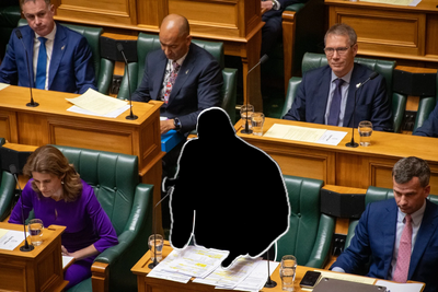 The National ministers who could dethrone Christopher Luxon as PM