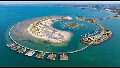 Reviving a dead lake: Marker Wadden project creates new ecosystems; wildlife rapidly returns to transformed habitats