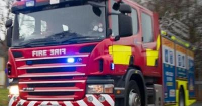 Firefighters tackle large blaze at popular country park