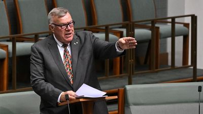 One Nation MP wants Australia to 'survive on its own'
