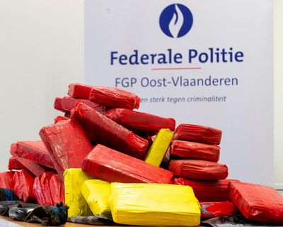 Gangs using Airbnb-type rentals as drug stash houses, top Belgian official says