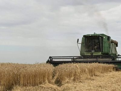 Decades of farm gains, inventories strengthen food system against 'super' El Nino
