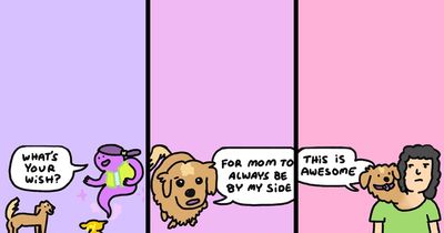 33 New Comics With Unexpected Endings And Darker Humor By Andy Babbitz