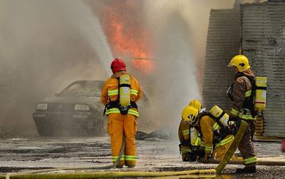 Heroic Firefighters Save Seven Puppies in Dramatic Colorado House Fire Rescue