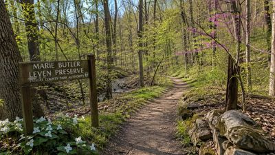 In 1962, a Virginia economist left his 20-acre estate for public use, preserving its woods for future generations