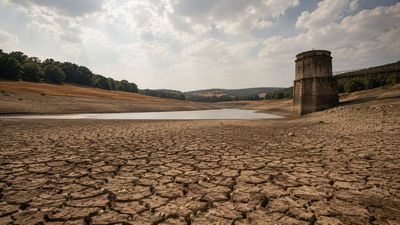 England recorded driest July in 190 years with just 6.5mm of rain as drought and water stress deepen