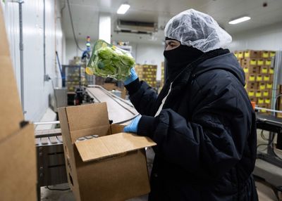 Imported Produce Drove Two of This Summer's Largest Outbreaks While Foreign Inspections Stayed Far Below Target