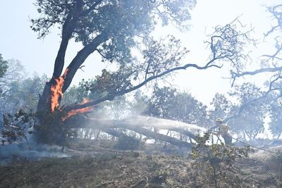 Famed tourist destinations evacuated as wildfire threatens California’s Big Sur