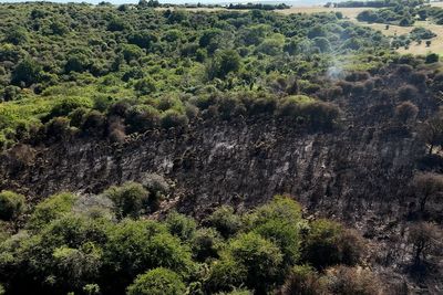 UK wildfires hit record levels in July as drought and heatwave spark warnings