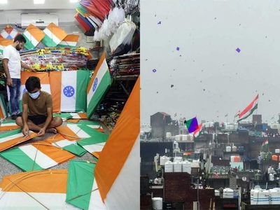 From 'Simon Go Back' to tricolour skies: How kites became a symbol of freedom