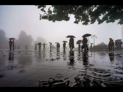 Himachal rain fury: Over 200 roads closed, landslides hit Shimla; wet spell likely till Aug 17