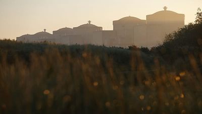 Jellyfish force shutdown of three reactors at France's Gravelines nuclear power plant