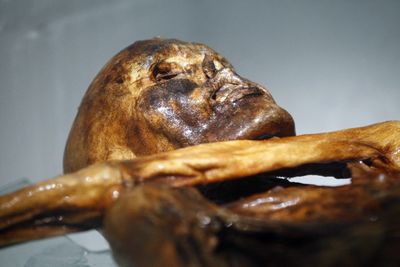 Ötzi the Iceman Still Has Living Yeast After 5,300 Years, and Some Can Break Down His Preservative