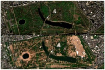 Scorched London: Images from space reveal how record-breaking heatwaves have frazzled the capital